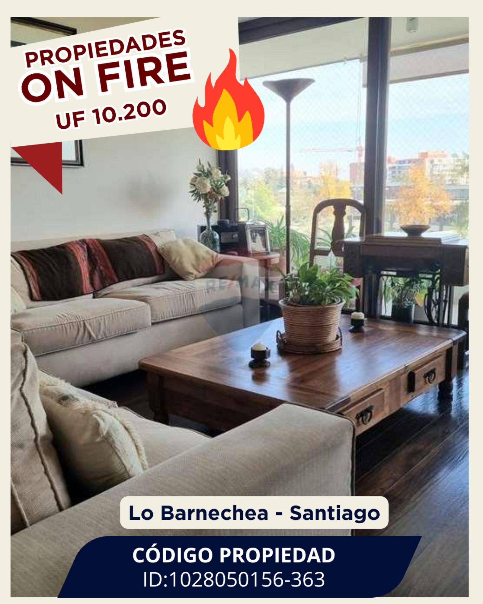 WhatsApp Image 2025-06-01 at 18.22.02 (4)