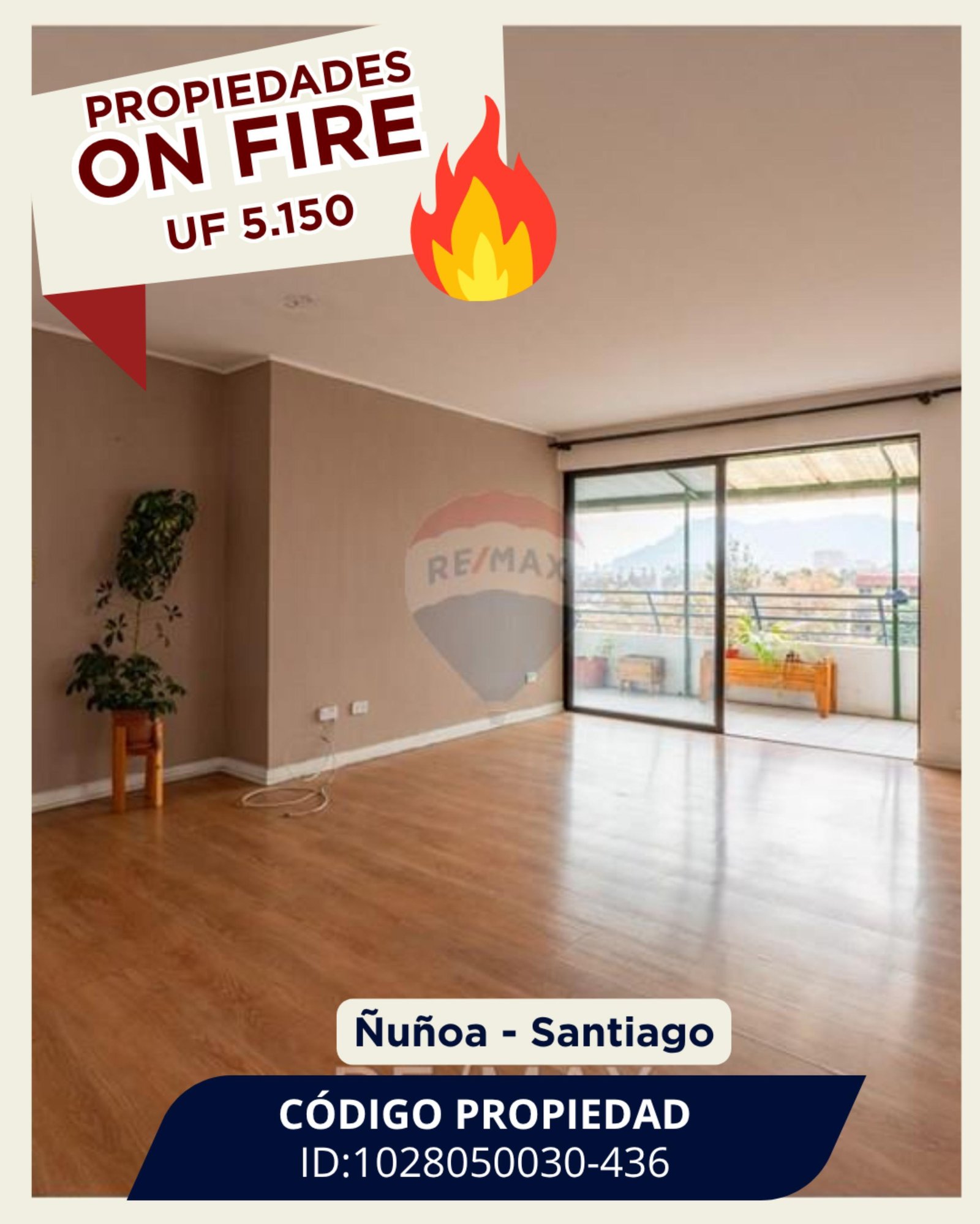 WhatsApp Image 2025-06-01 at 18.22.03